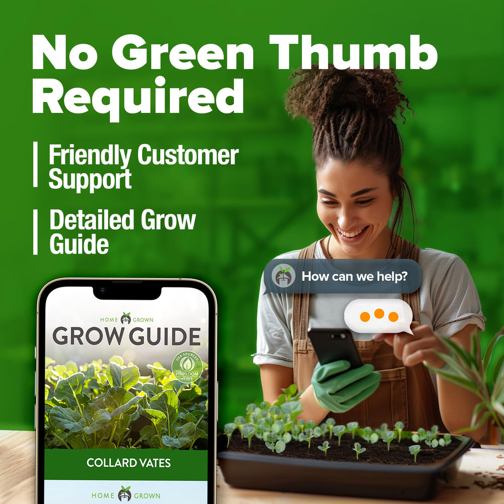 Cold-season greens from HOME GROWN seeds with rich flavor potential
