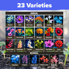 HOME GROWN wildflower butterfly garden setup demonstrates colorful blooms for butterflies