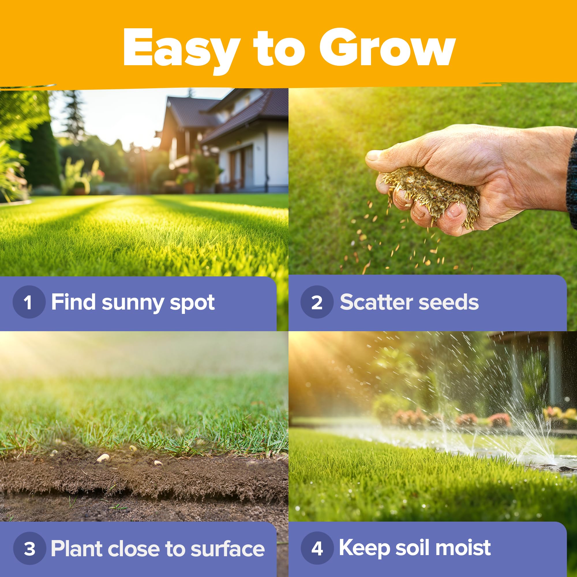 HOME GROWN Continuous Bloom infographic hints at season-long color.