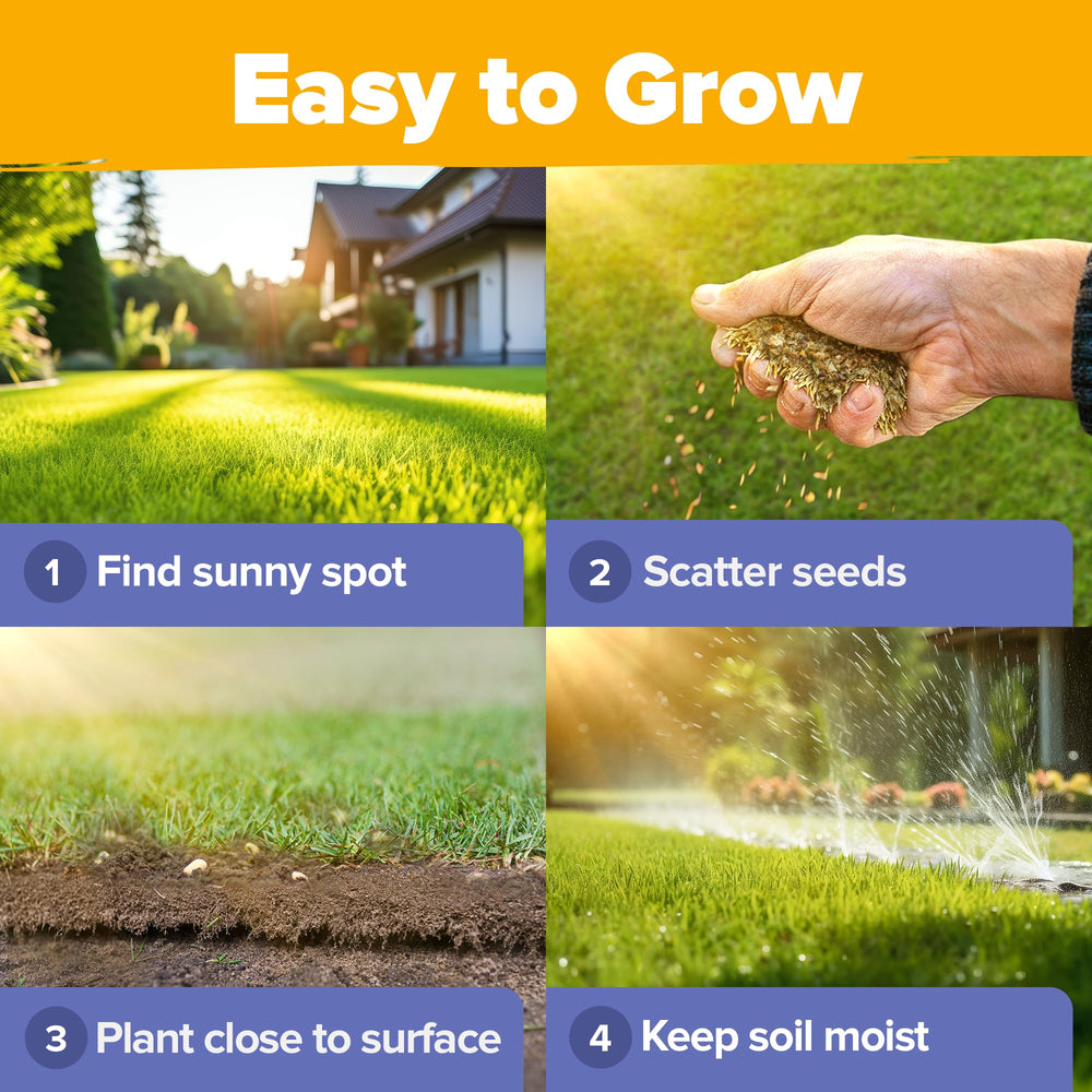 HOME GROWN Continuous Bloom infographic hints at season-long color.