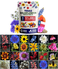HOME GROWN seed pack front view showing 131200 wildflower mix for vibrant garden color.