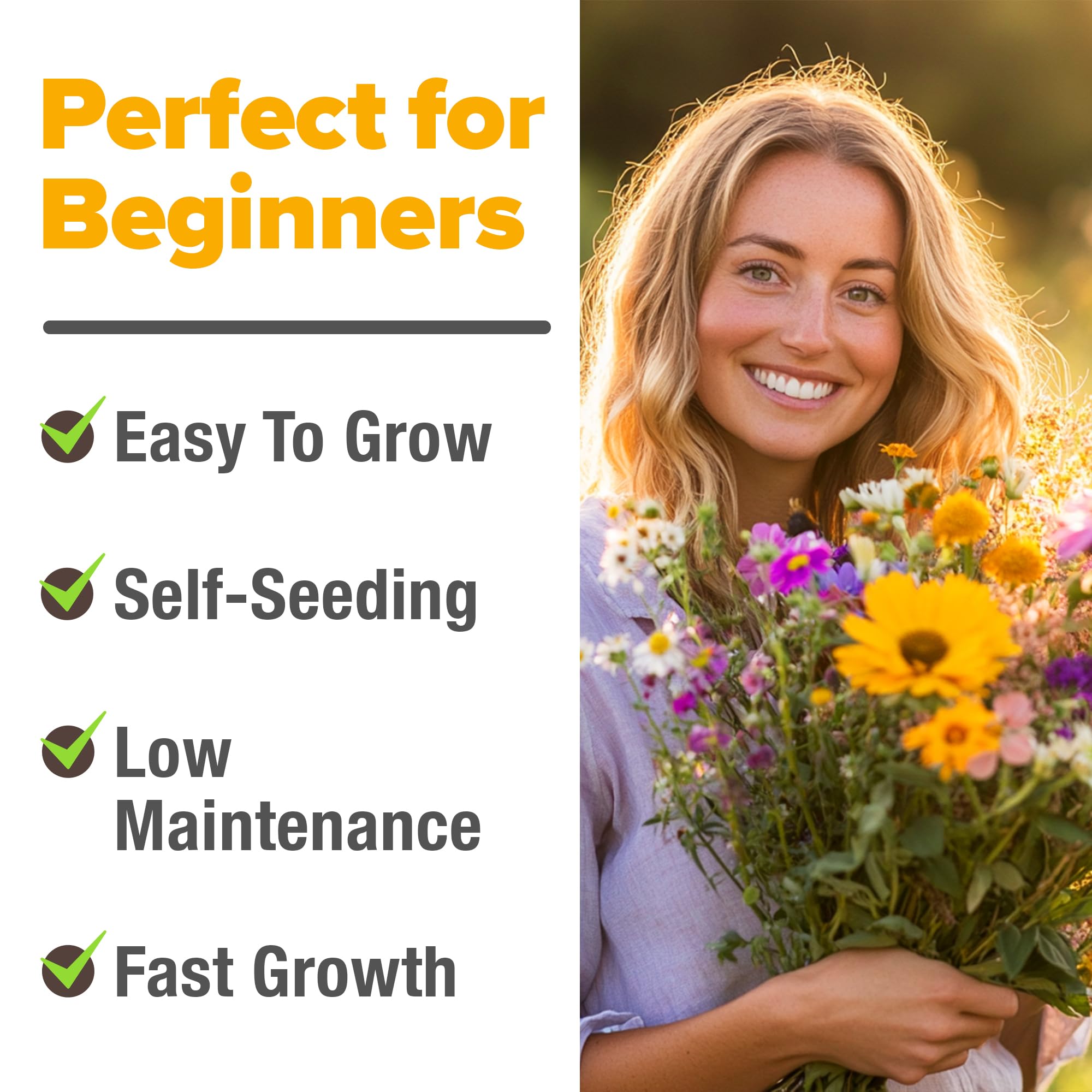 HOME GROWN Wildflower Seeds Mix bulk-value field demonstrates economical seeds for plots
