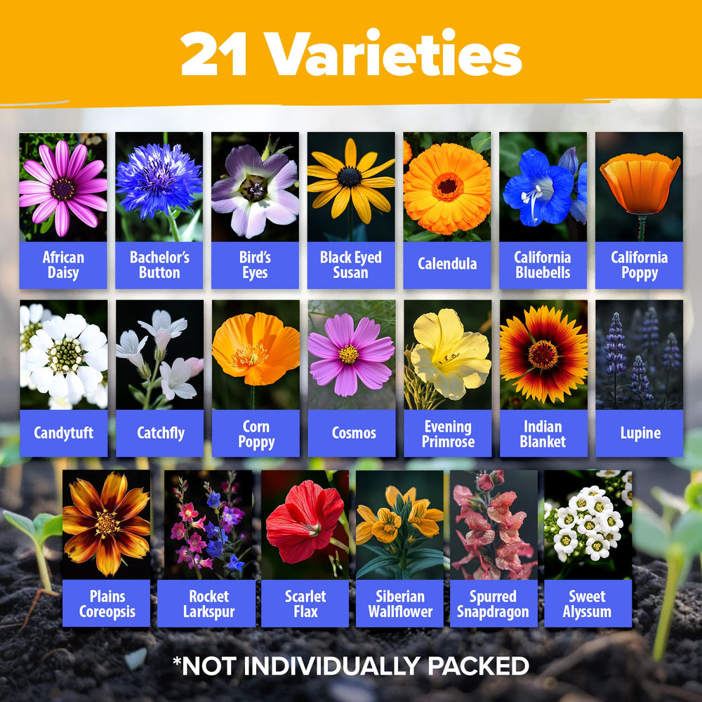 HOME GROWN Wildflower Seeds Mix butterfly garden image attracts pollinators with continuous blooms