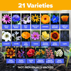 HOME GROWN Wildflower Seeds Mix butterfly garden image attracts pollinators with continuous blooms