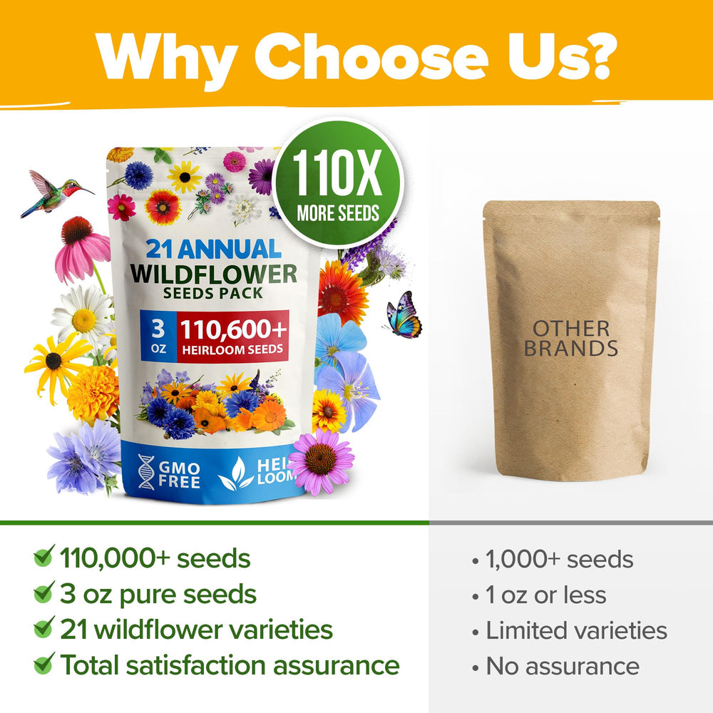 HOME GROWN Wildflower Seeds Mix drought-tolerant mix for low-water landscaping