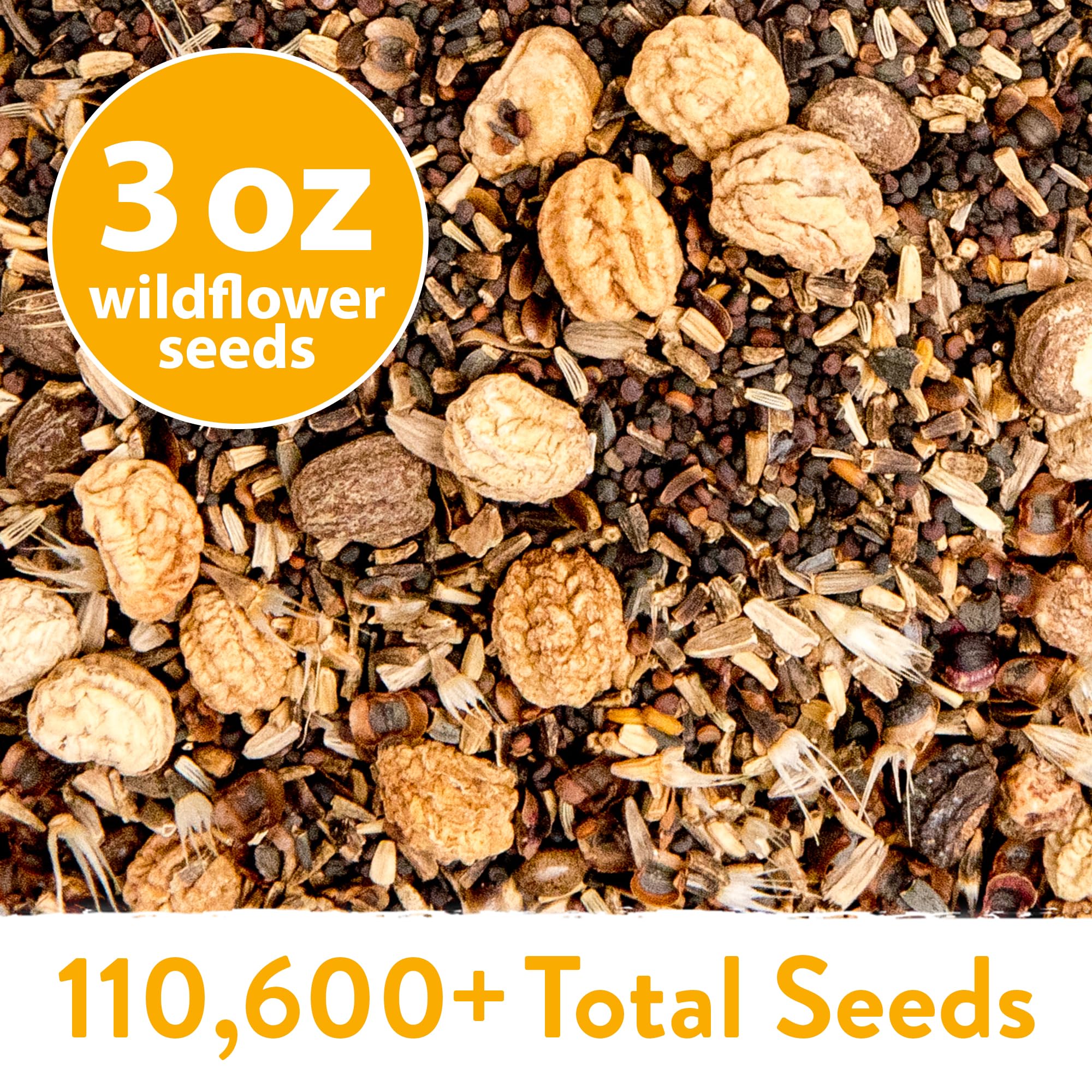 HOME GROWN Wildflower Seeds Mix easy-grow banner shows quick germination and color