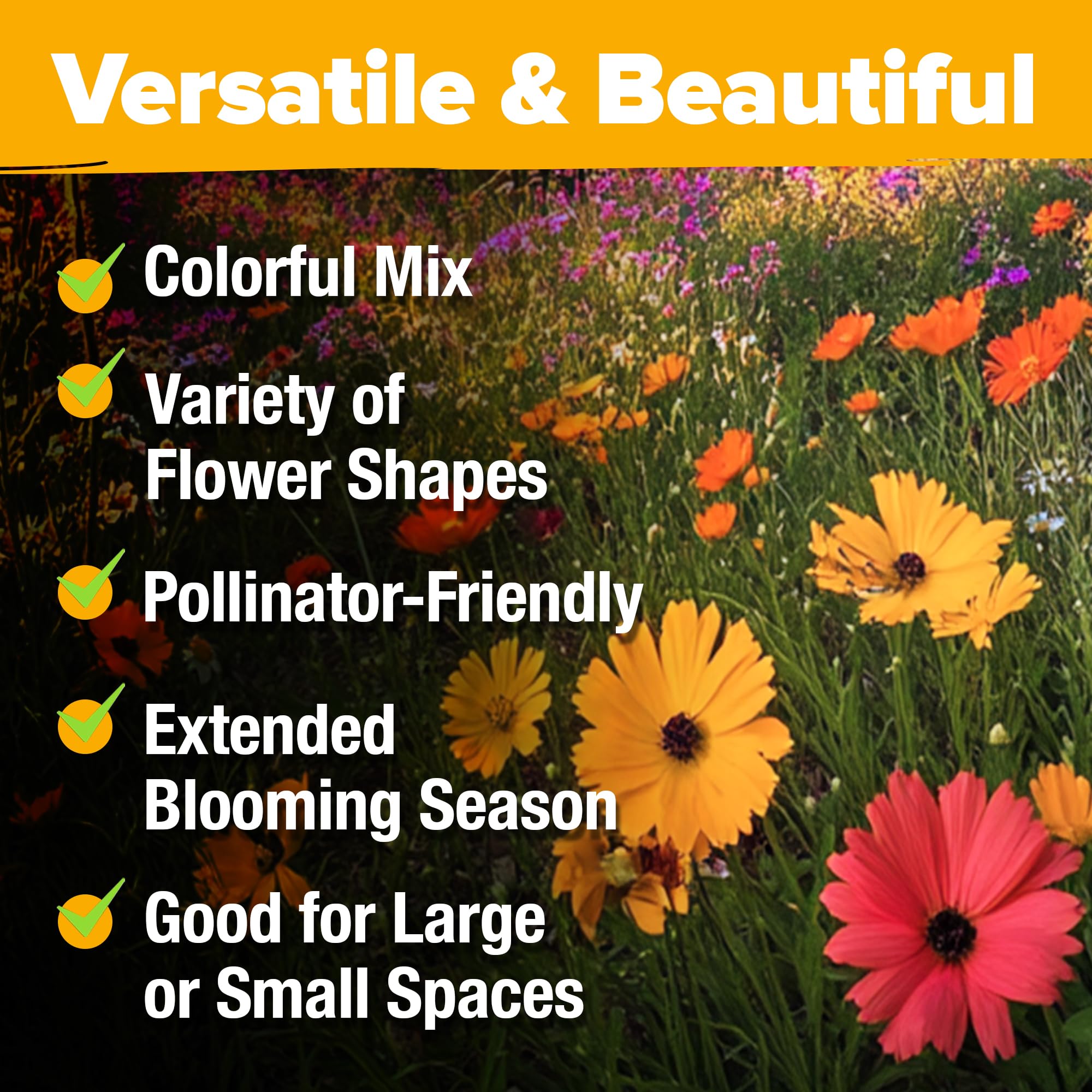 HOME GROWN Wildflower Seeds Mix growing-guide included with germination tips