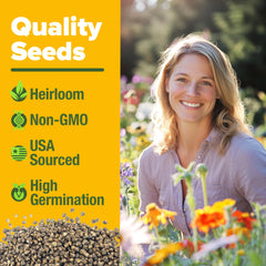 HOME GROWN Wildflower Seeds Mix pollinator-attracting scene supports bees and hummingbirds