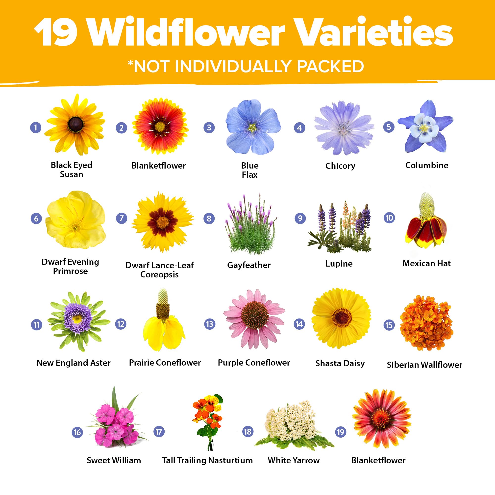 HOME GROWN Wildflower Seeds Mix seed packets ready to sow in beds or borders.