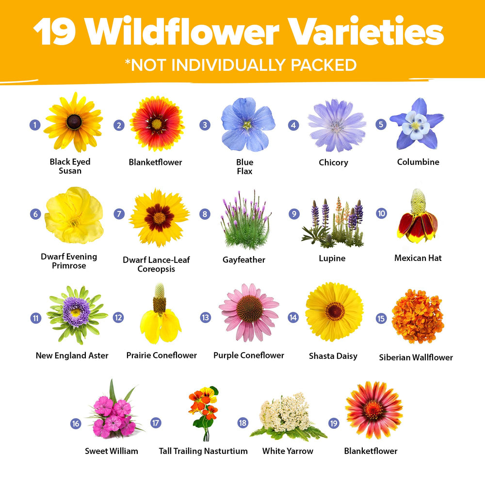 HOME GROWN Wildflower Seeds Mix seed packets ready to sow in beds or borders.