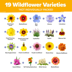 HOME GROWN Wildflower Seeds Mix seed packets ready to sow in beds or borders.