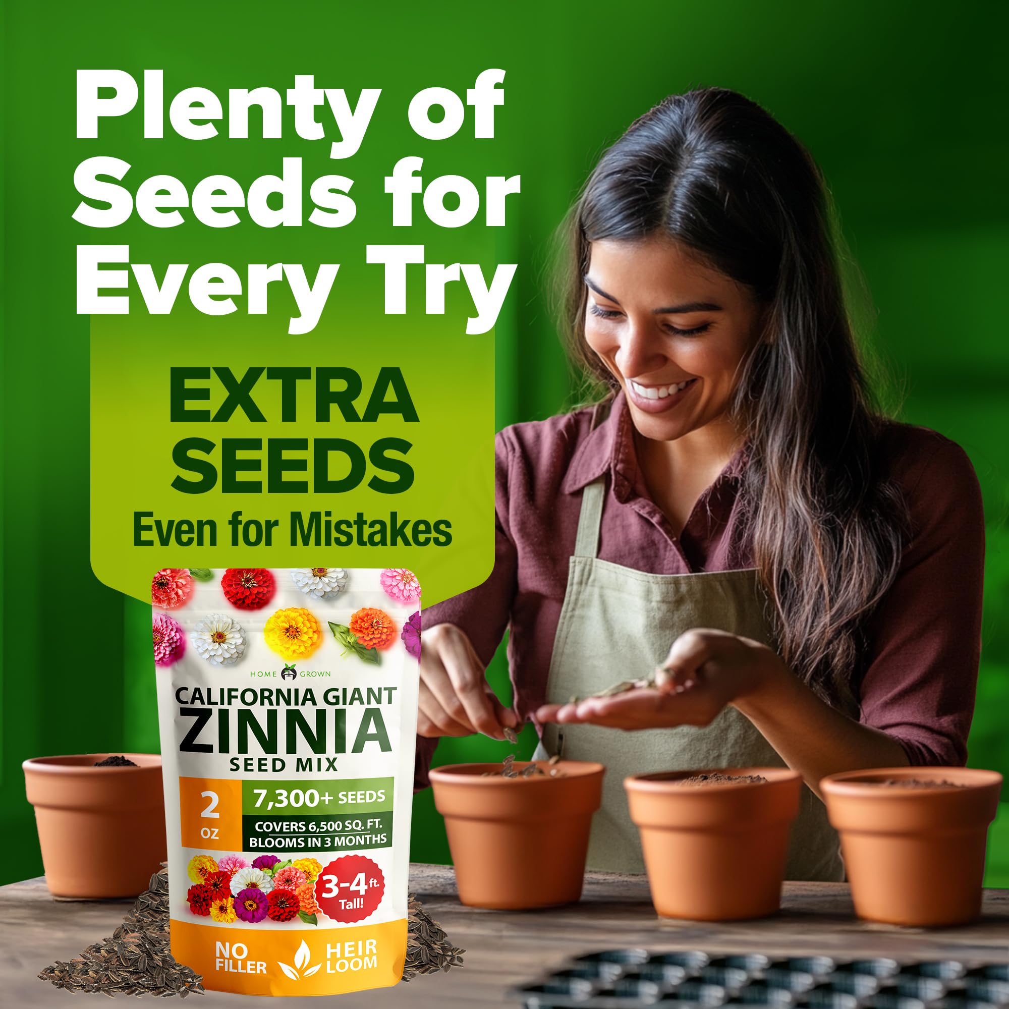 HOME GROWN zinnia California Giant Mix versatile for garden beds, borders, and containers.