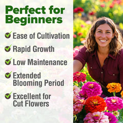 HOME GROWN zinnia California Giant Mix tall stems support stunning cut flower arrangements.