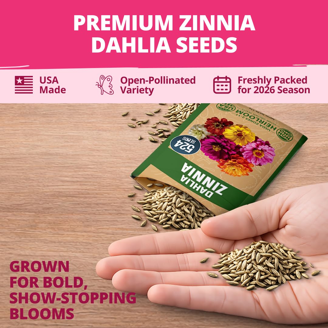 HOME GROWN Zinnia Dahlia seeds pack quick germination and early blooms for fast color