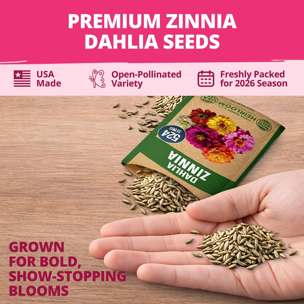 HOME GROWN Zinnia Dahlia seeds pack quick germination and early blooms for fast color