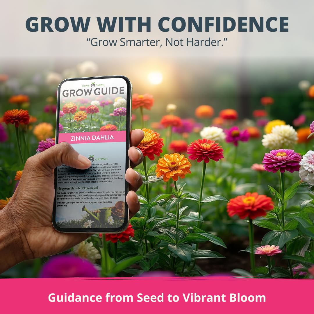 HOME GROWN Zinnia Dahlia seeds pack large seed quantity for mass planting and affordable color