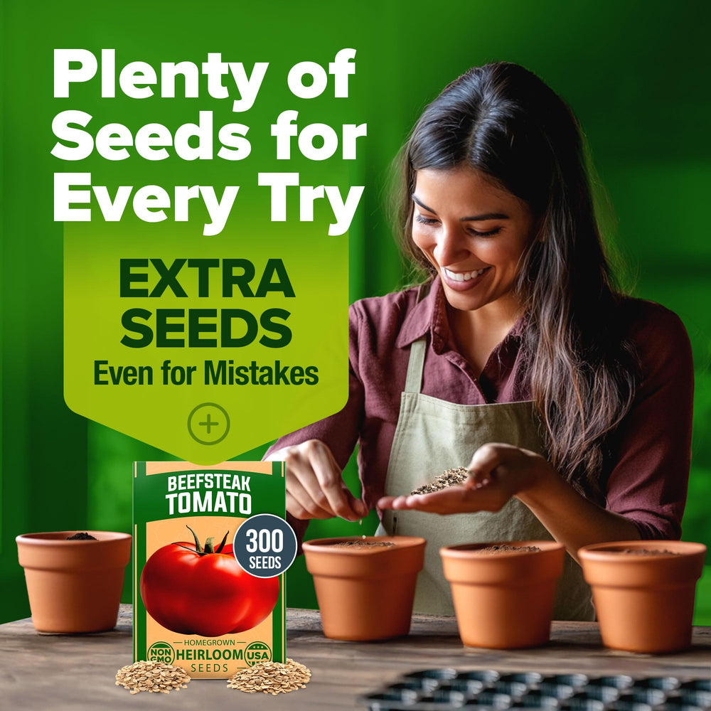 HOME GROWN Beefsteak seeds suited for zones 3–9 and warm summers.