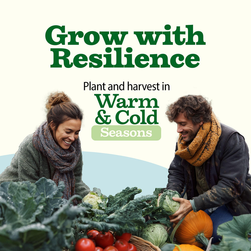 HOME GROWN fresh garden flavors showcase vibrant, homegrown produce potential.