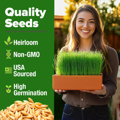 HOME GROWN Hard Red Wheatgrass Seeds pack shown, non-GMO and untreated for reliable sprouts.