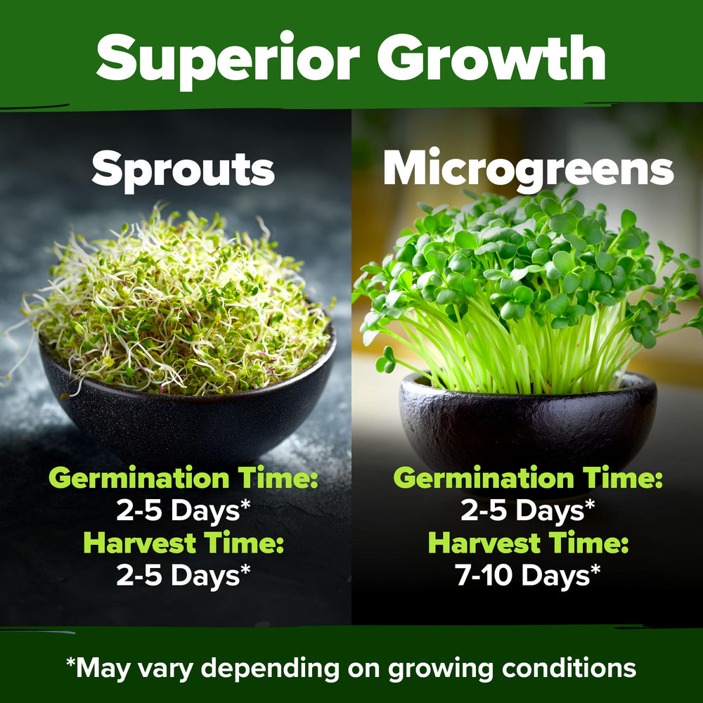 HOME GROWN mixed greens add bright, nutritious crunch to bowls.