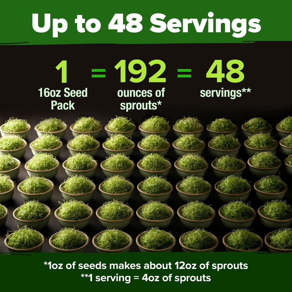 HOME GROWN sprouts atop a fresh salad for crunchy, versatile flavor.