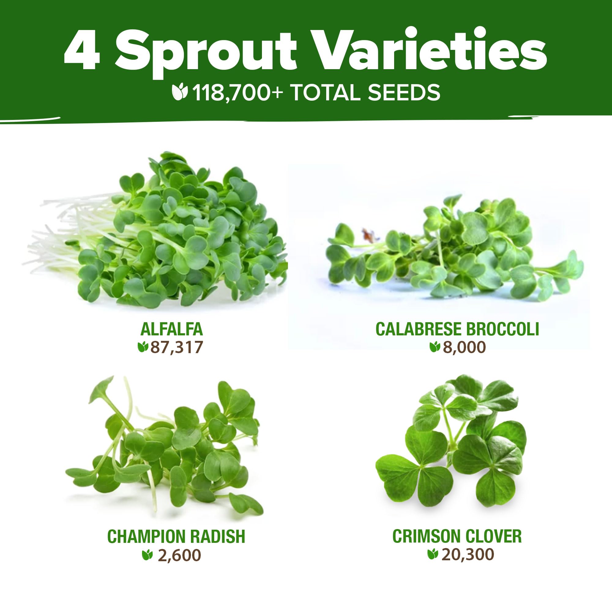 HOME GROWN sprouting seeds on a tray for easy microgreens harvest.