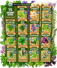 HOME GROWN basil seed packet for fresh, flavorful basil from your windowsill