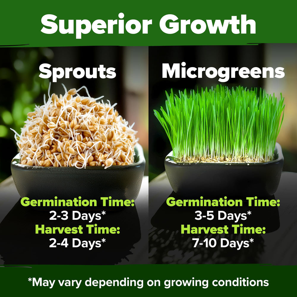HOME GROWN Juice-ready wheatgrass blades harvested into a glass.