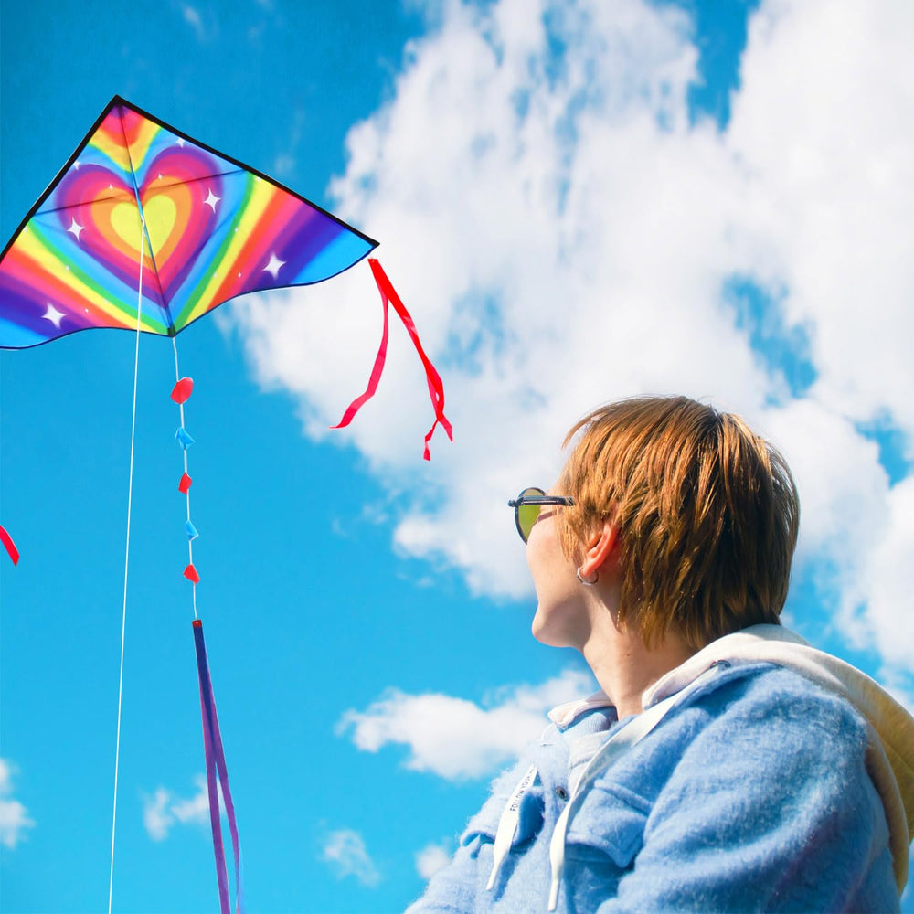 HONBO Delta Kite ready-to-fly with handle and line included