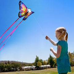 Honbo easy-assembly kite designed for quick setup by beginners.