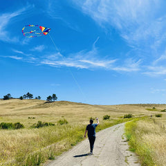 Honbo kite line and handle with 300ft anti-tangle design for smooth flights.