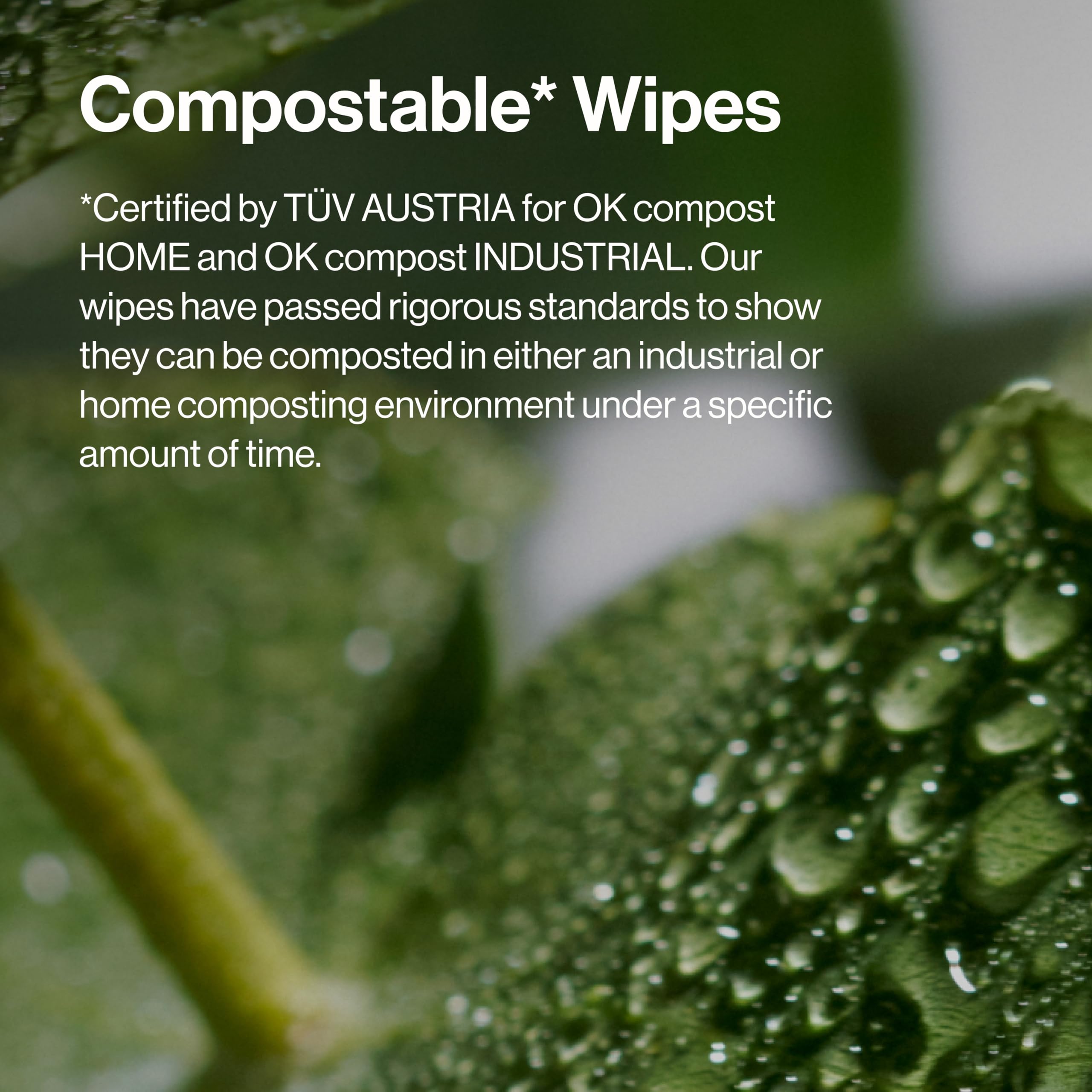 Honest Beauty fragrance-free wipes back-of-pack NEA and EWG certifications visible