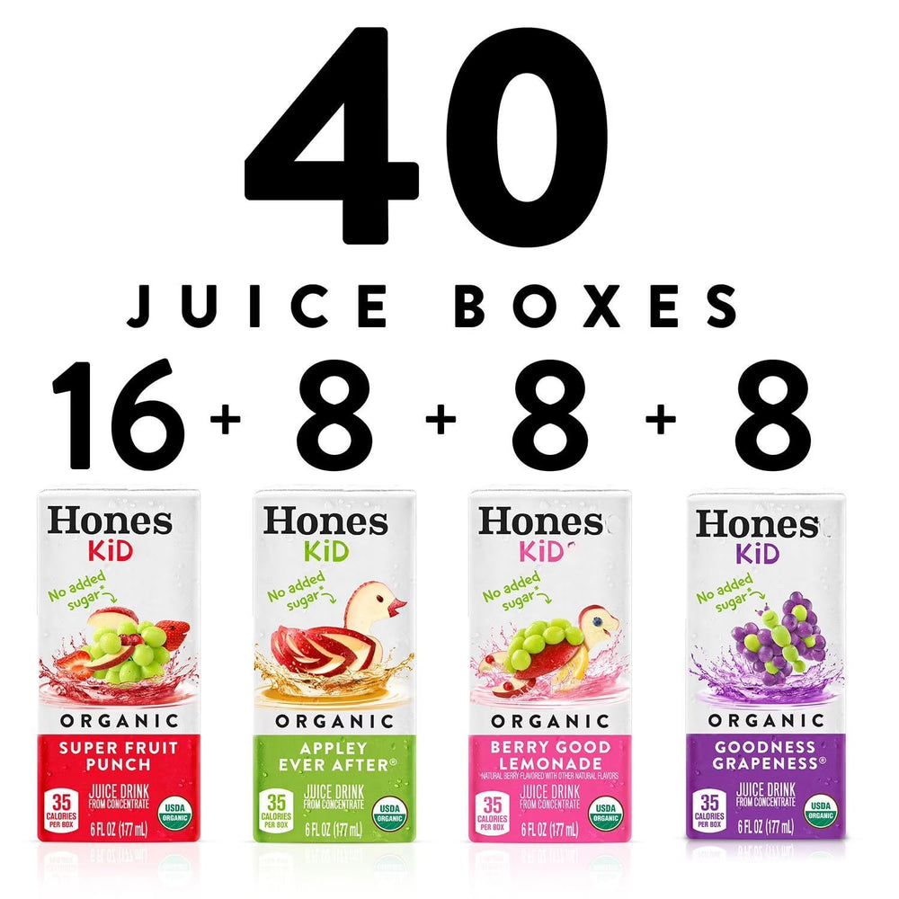 Honest Kid Fruit Punch box with vibrant, kid-friendly taste.