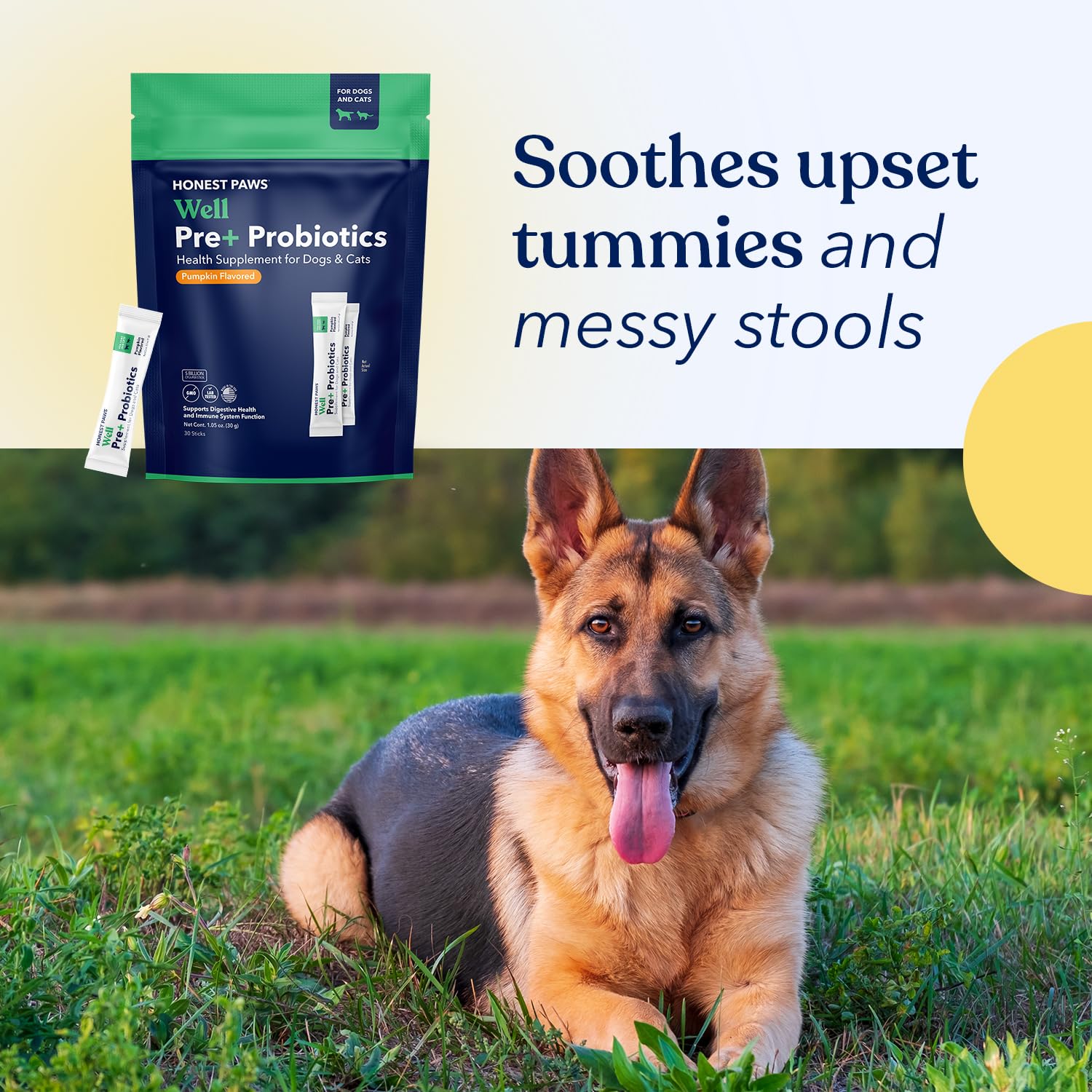 Honest Paws Probiotics daily sachets beside a bowl show simple administration.