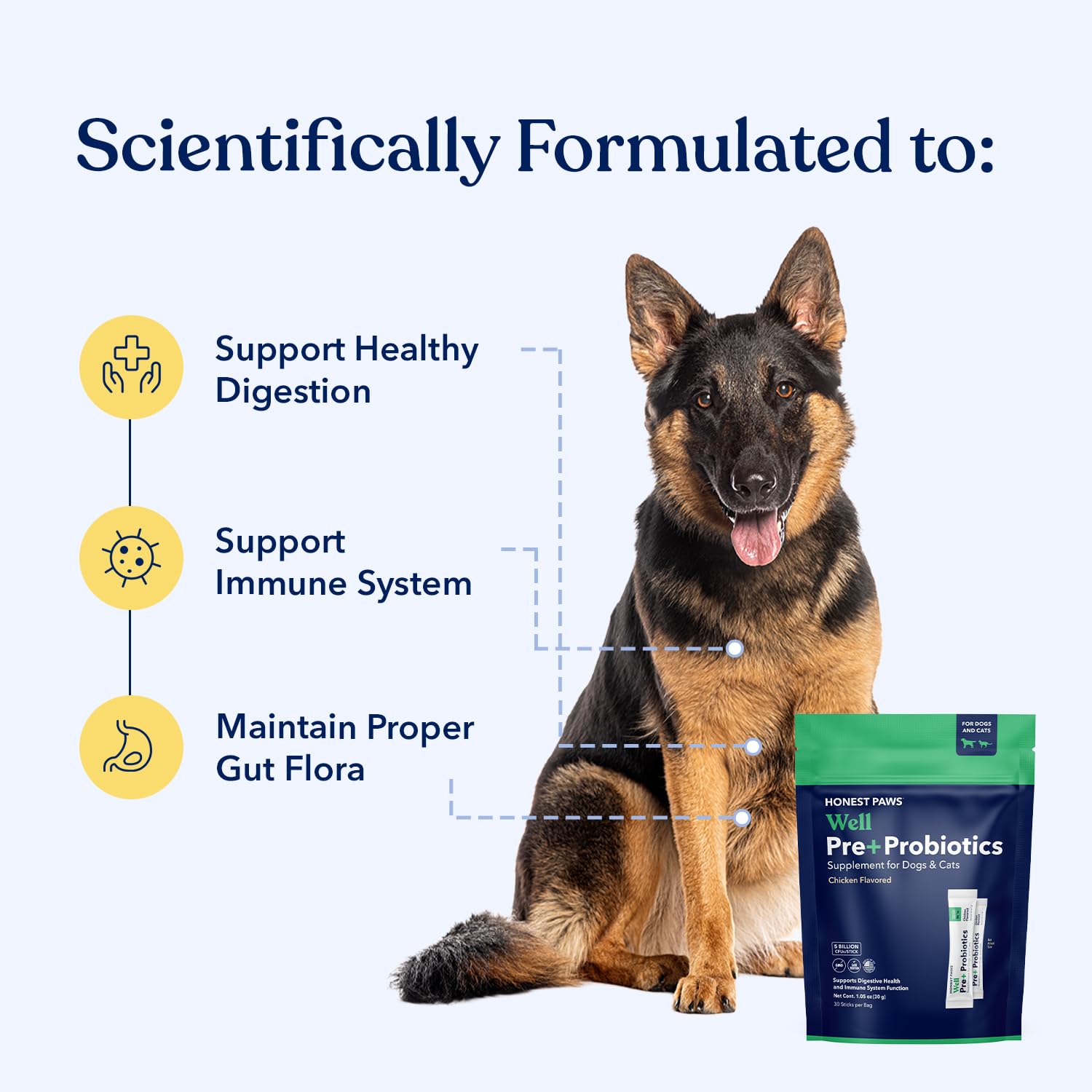 Honest Paws probiotics dog packet on food, convenient daily supplementation.