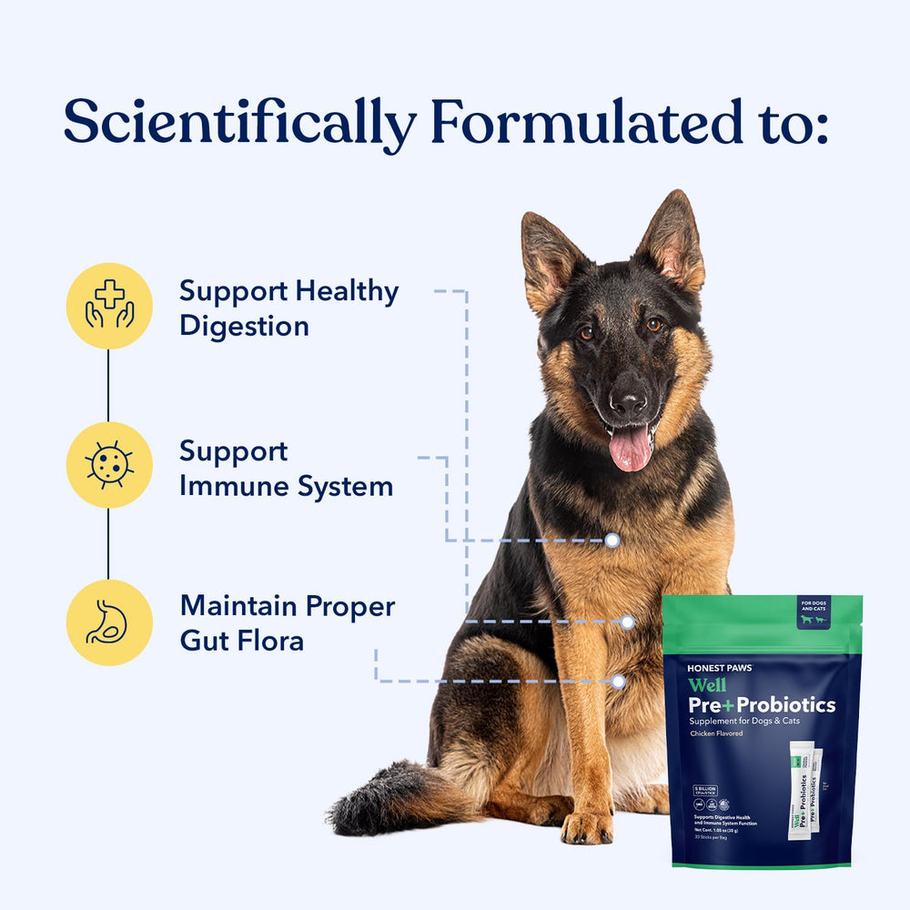 Honest Paws probiotics dog packet on food, convenient daily supplementation.
