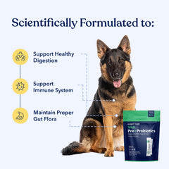 Honest Paws probiotics dog packet on food, convenient daily supplementation.