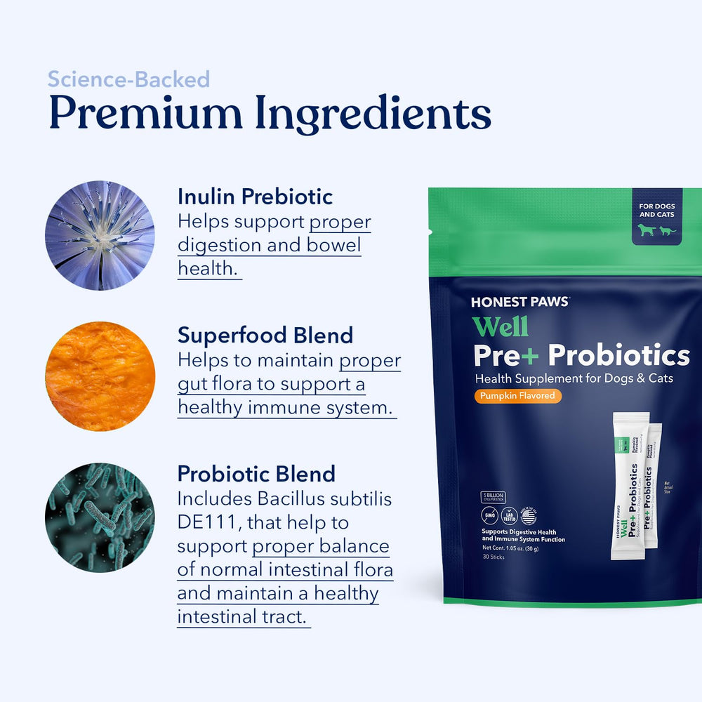 Honest Paws Probiotics packaging label highlights pumpkin flavor and natural ingredients.