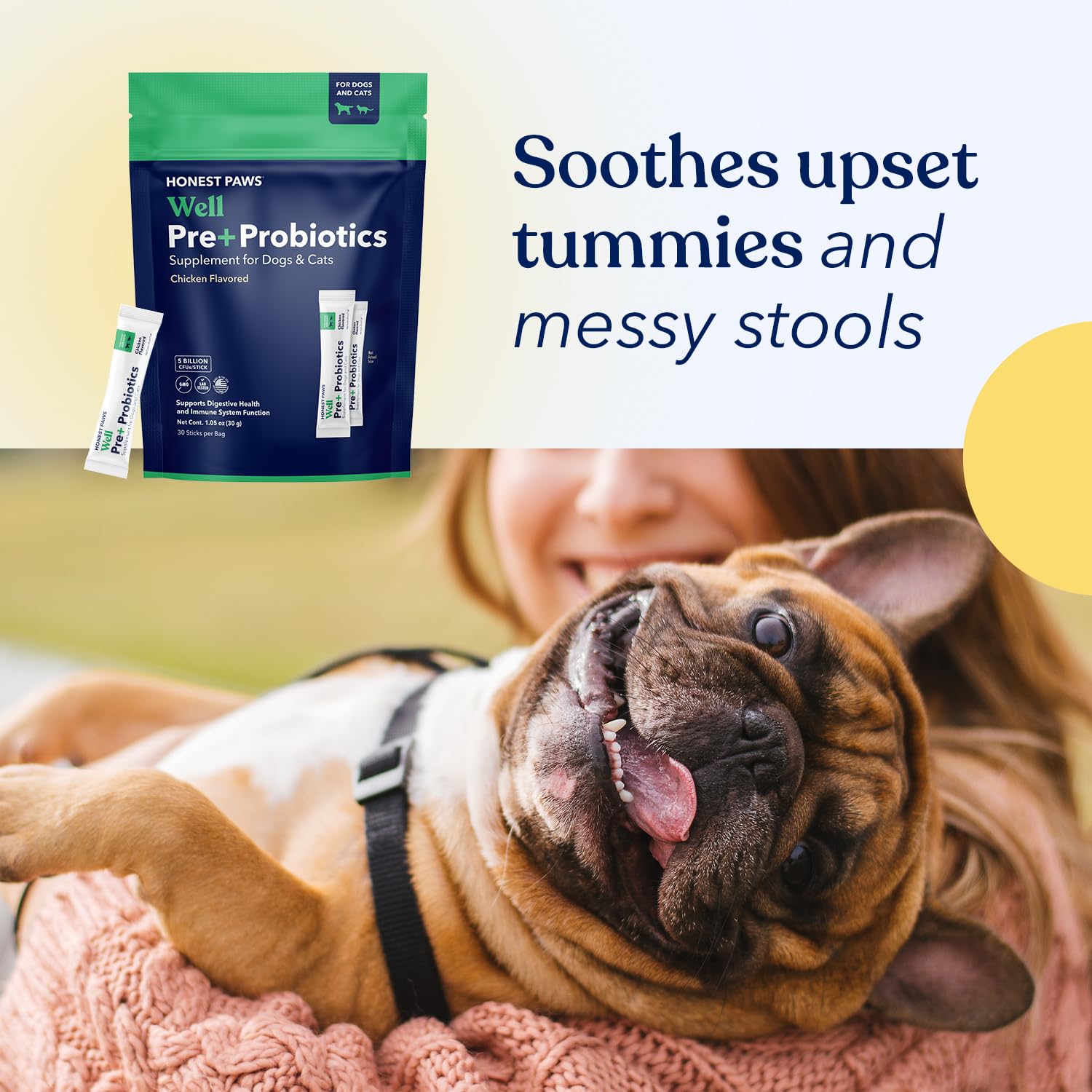 Honest Paws prebiotic powder nourishes gut bacteria in dogs.