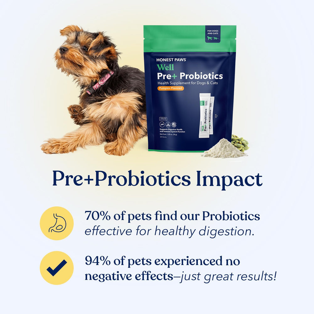Honest Paws Probiotics pumpkin-flavored powder texture invites tastiness and routine use.
