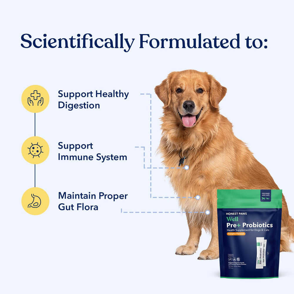 Honest Paws Probiotics scoop demonstrates easy daily dosing for gut support.