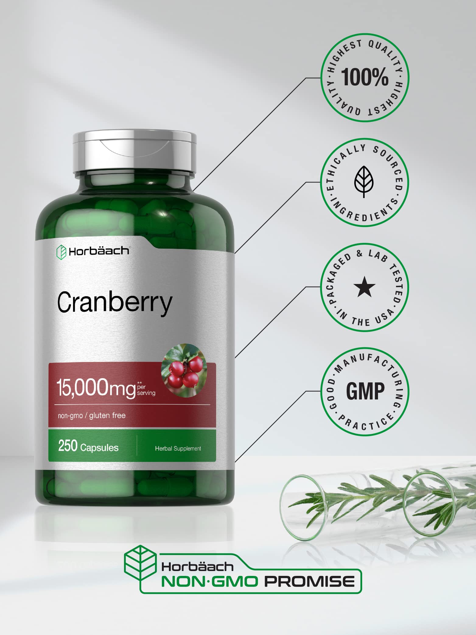 Horbaach Cranberry Pills label back detailing ingredients and non-GMO status