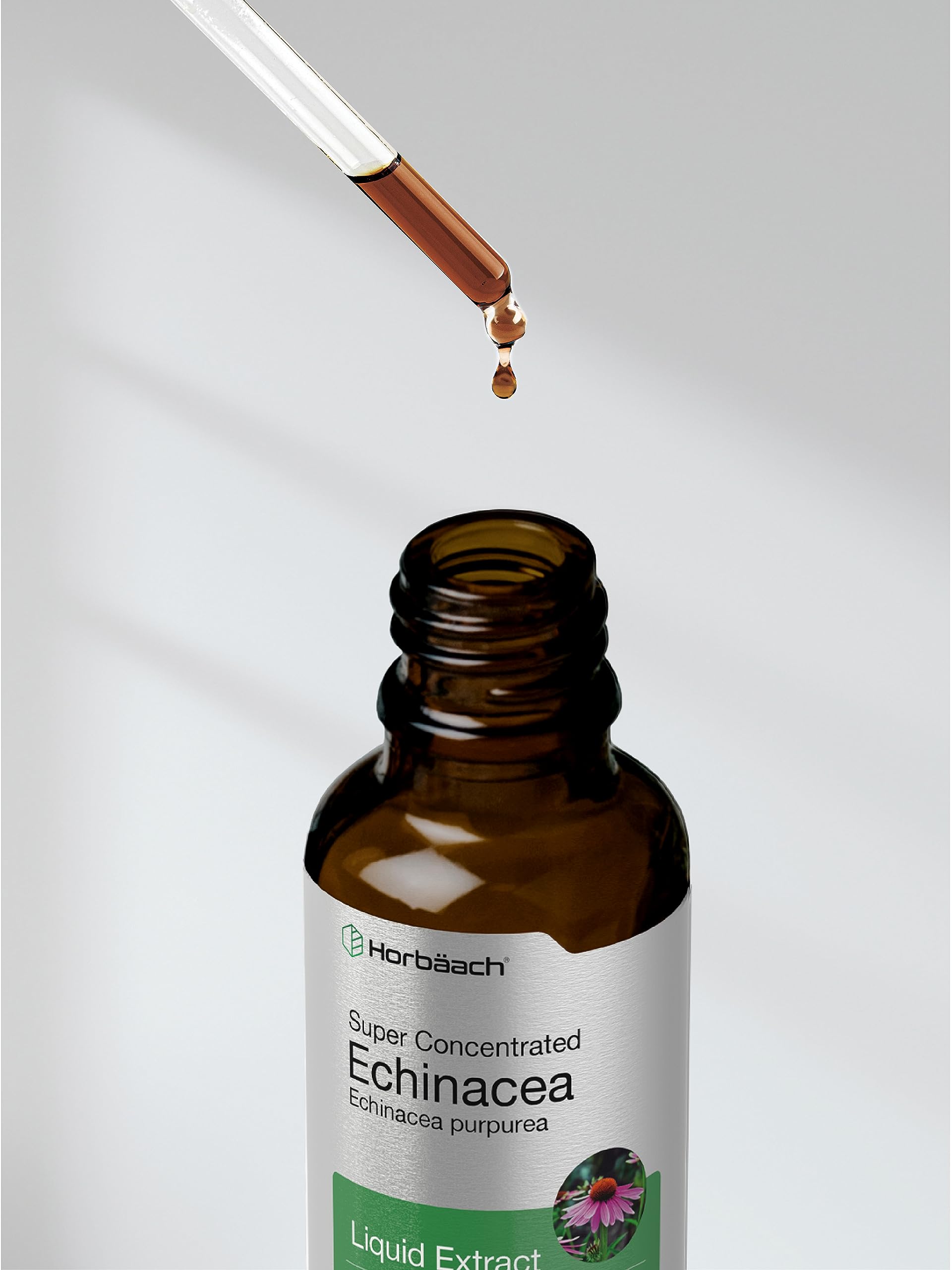 Horbaach Echinacea Drops bottle with root and flower imagery on label