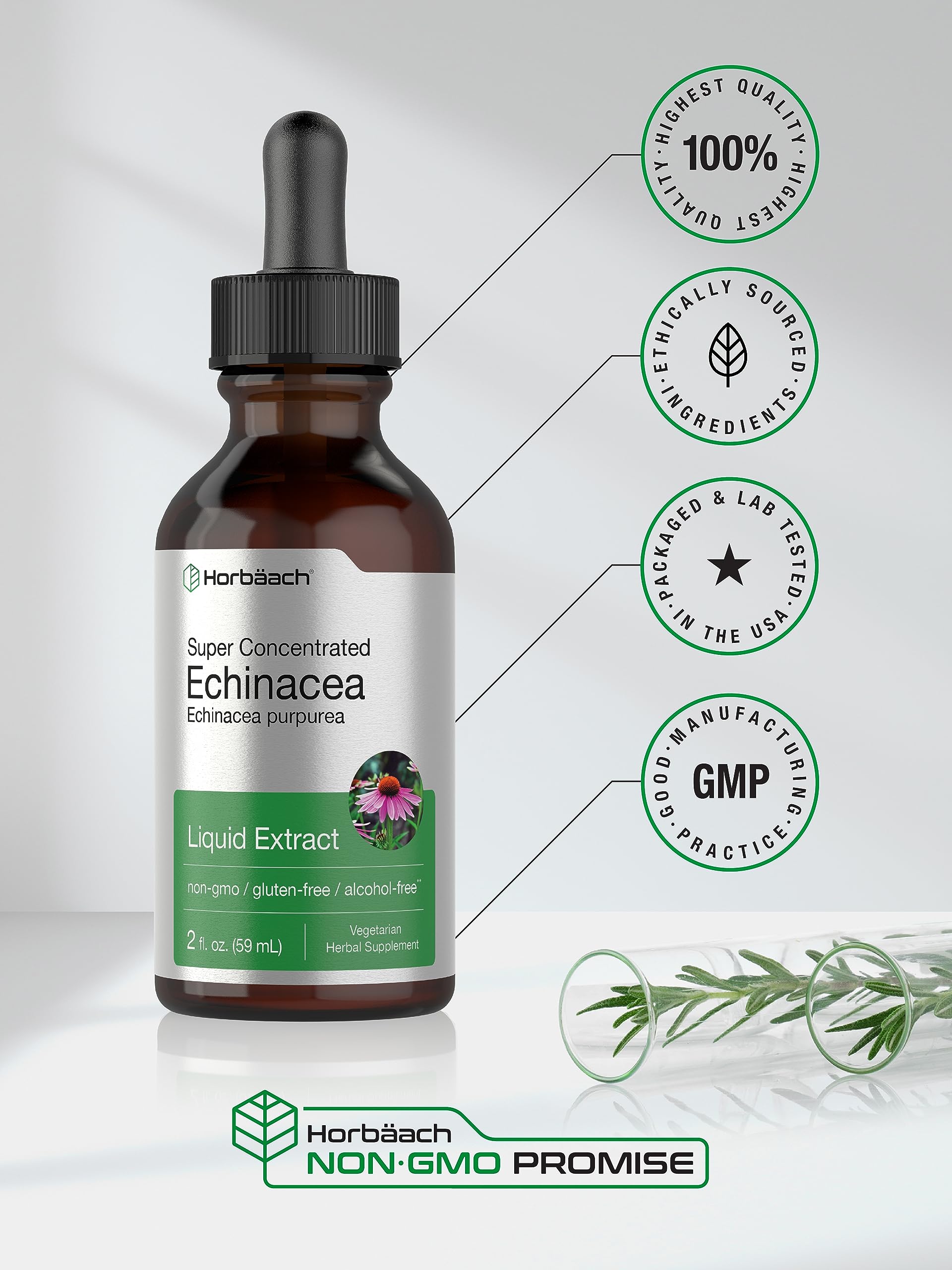 Ingredient panel on Horbaach Echinacea Drops bottle displayed up close