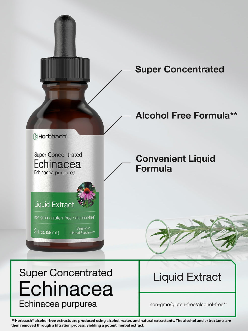 Pouring Horbaach Echinacea Drops into a glass for daily wellness routine