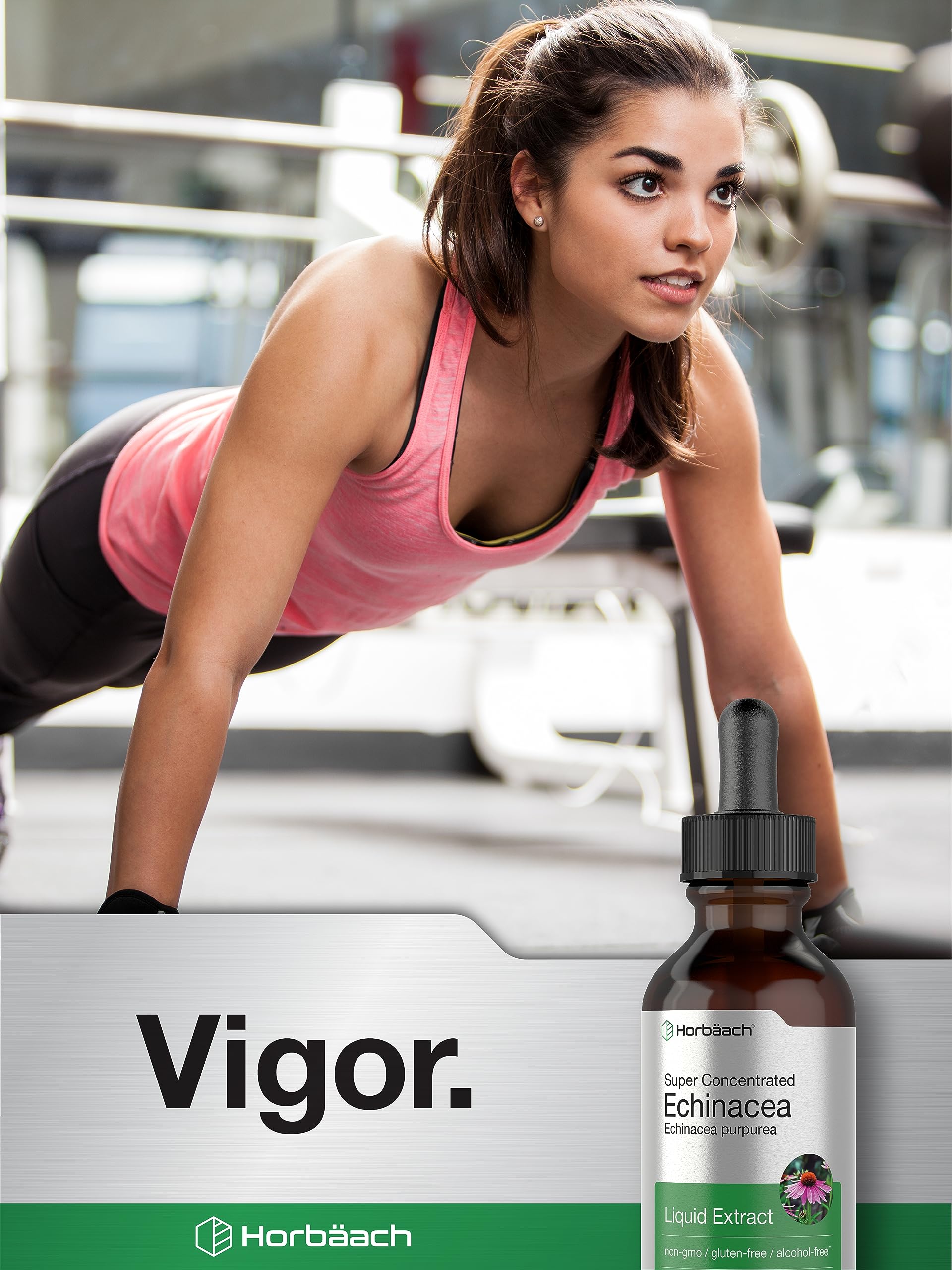 Horbaach Echinacea Drops vegetarian formula in a tincture bottle