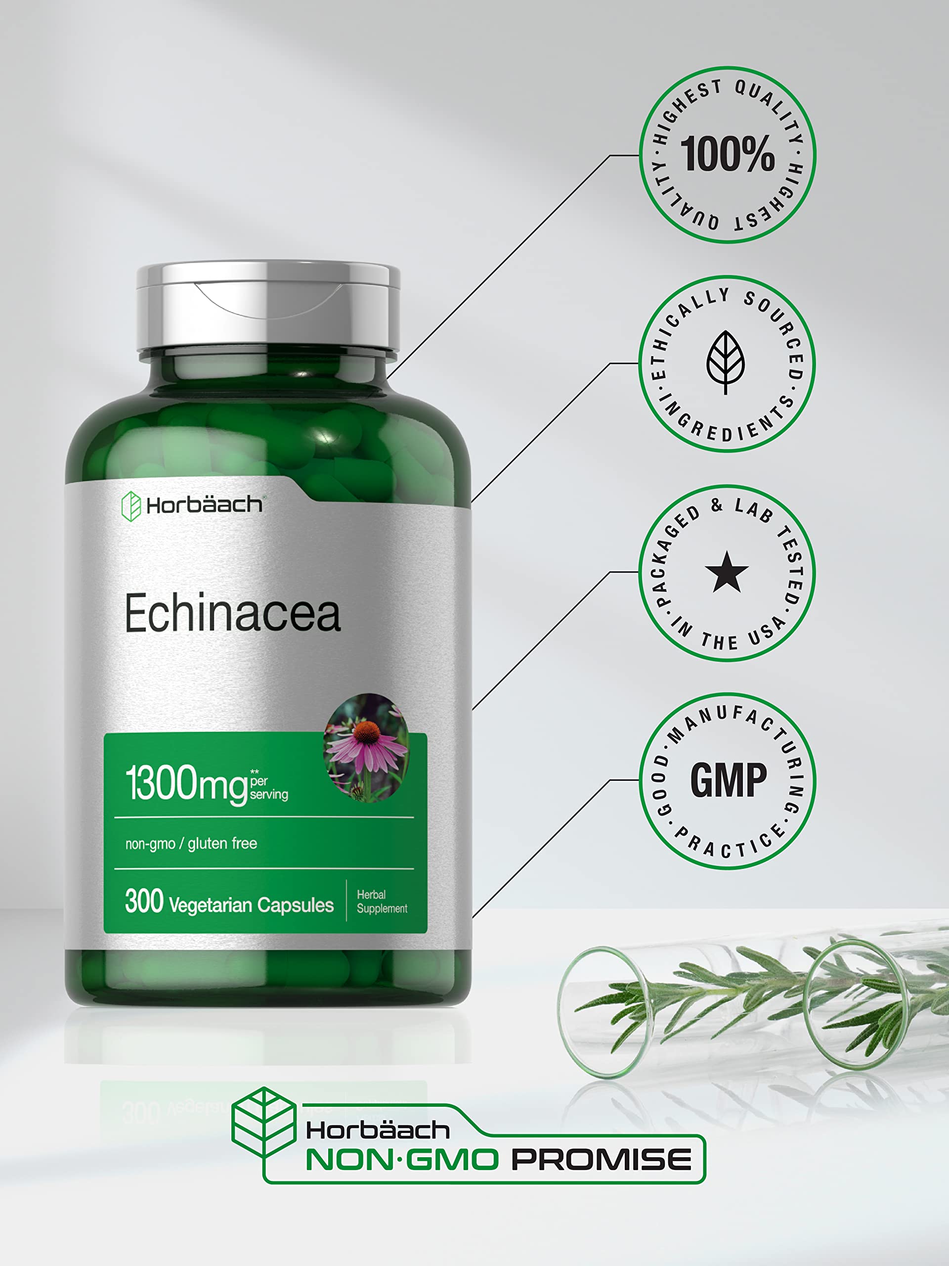 Horbäach echinacea capsules packaging front showing 300-count bottle.