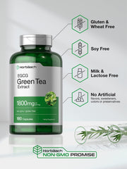 Horbäach EGCG Green Tea Extract pill label close-up for daily dosage reference.