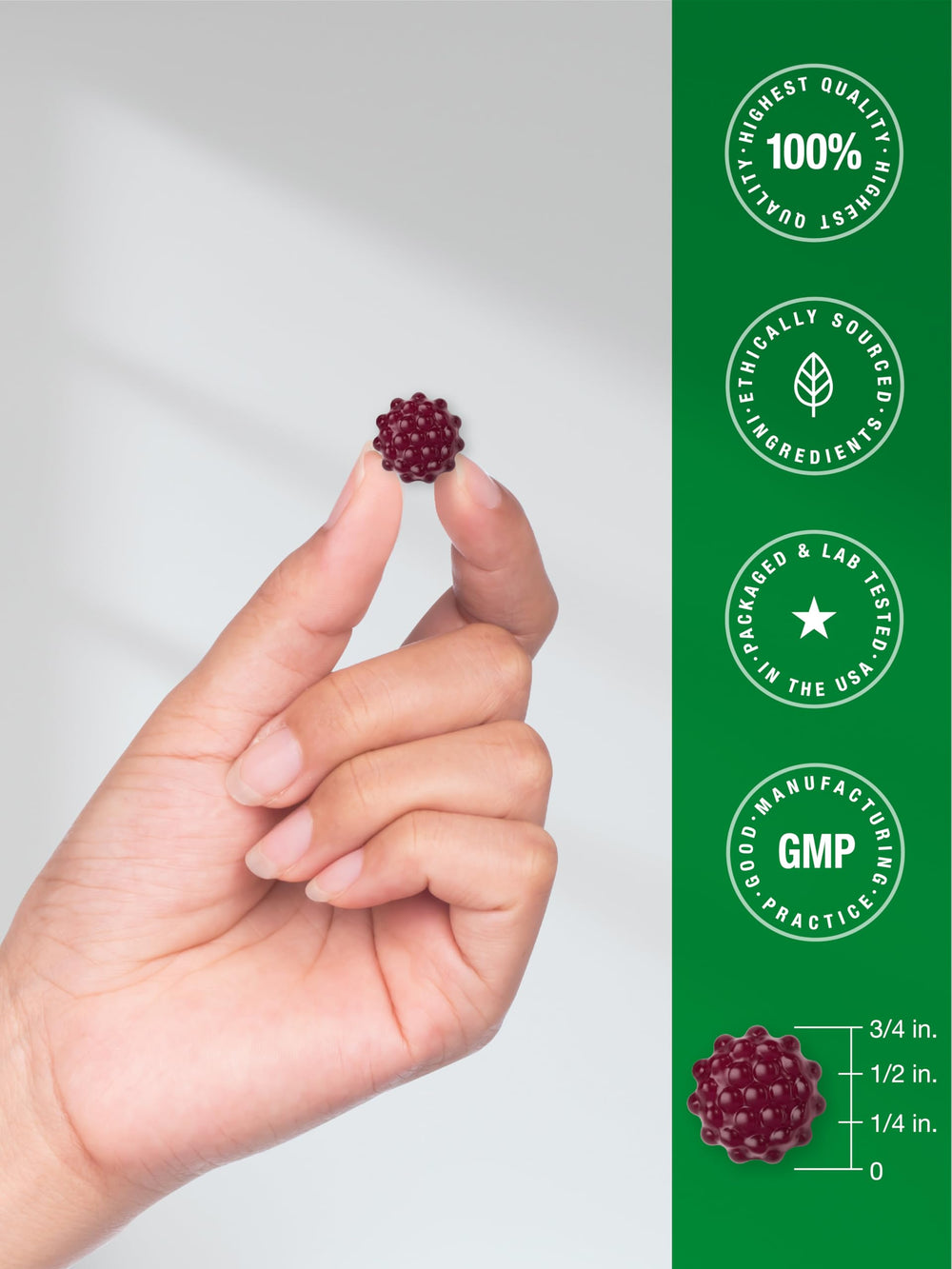 Horbaach Elderberry Gummies zinc and vitamin C inclusion for daily nutrition