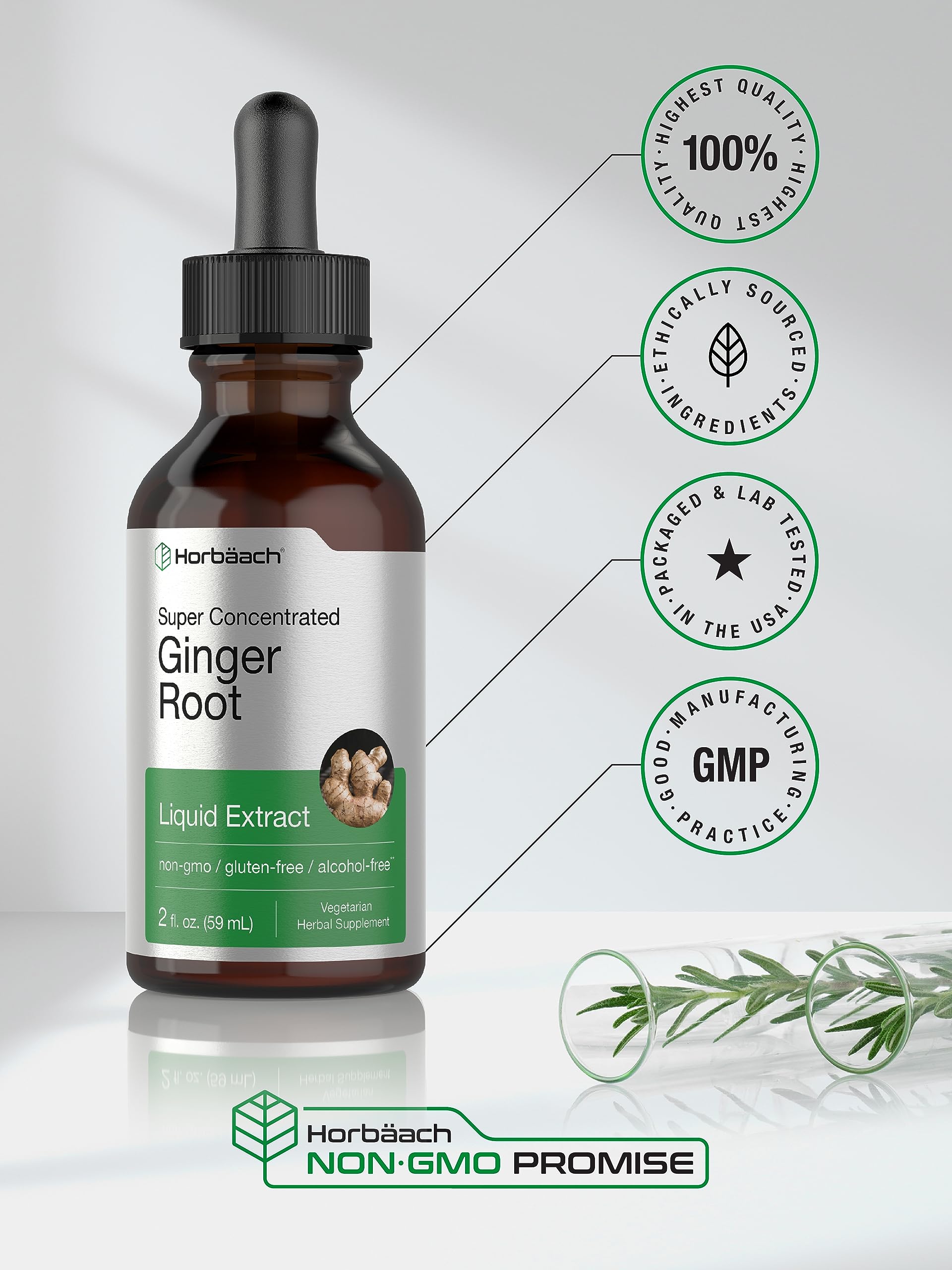 Horbäach Ginger Root Liquid gluten-free symbol indicating safe dietary option.